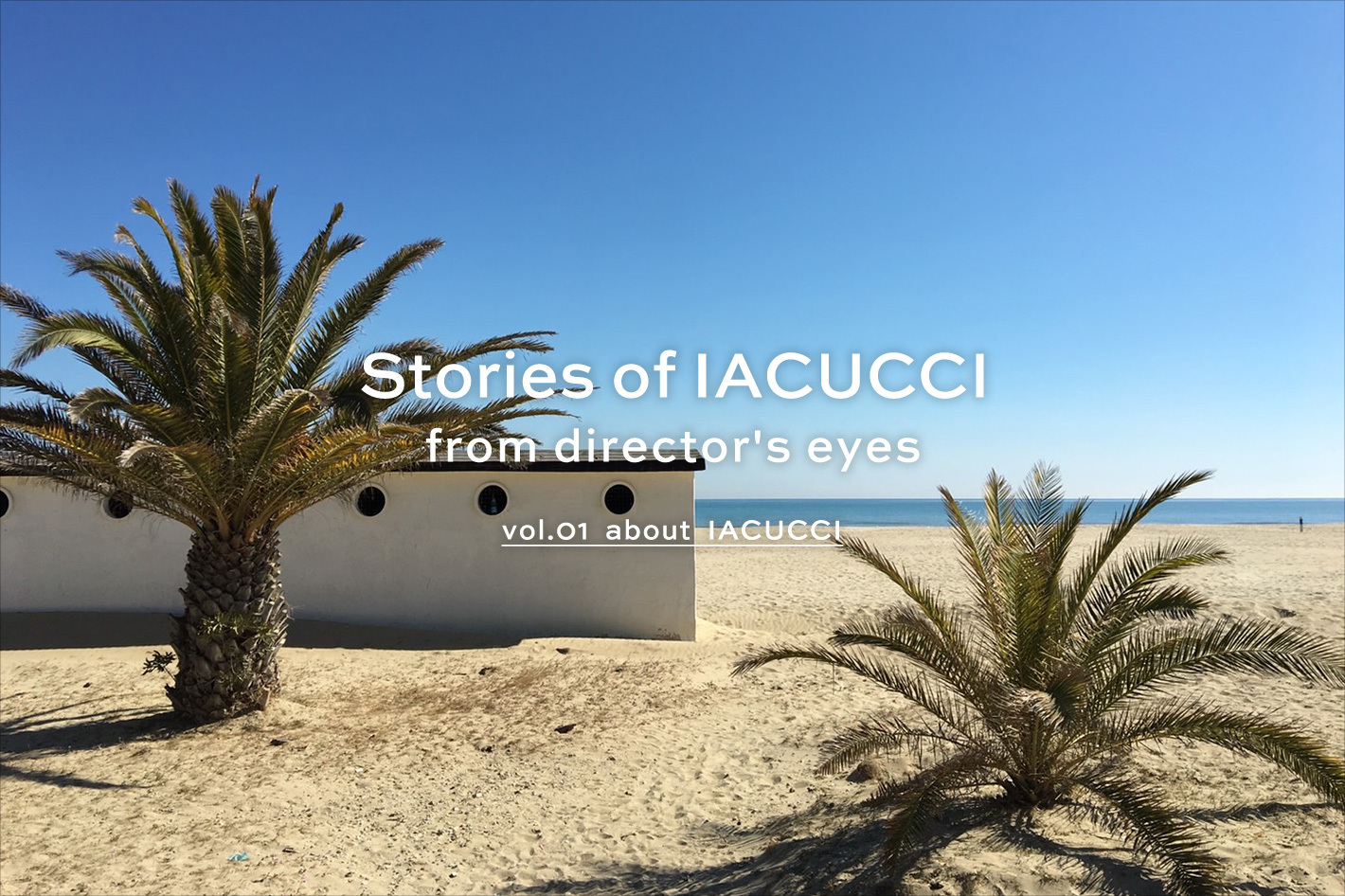 IACUCCI Stories of IACUCCI from director's eyes -vol.01-