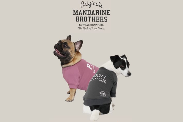 MANDARINE BROTHERS】2021/22 autumnwinter～新作ペットグッズ入荷～ | prose  verse(プロズヴェール)のニュース | PAL CLOSET(パルクローゼット) - パルグループ公式ファッション通販サイト