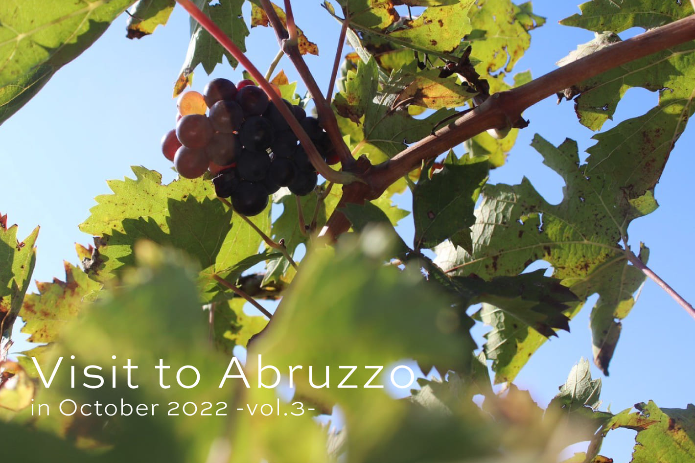 IACUCCI Visit to Abruzzo in October 2022 -vol.3-