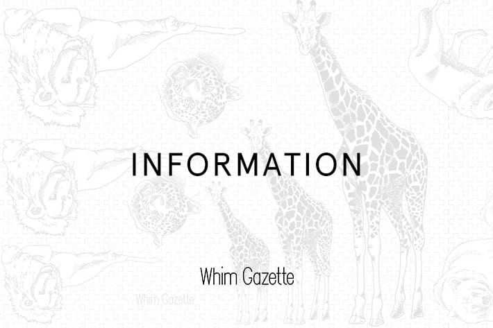 Whim Gazette 【INFORMATION】ウィム ガゼット 青山店 臨時休業のお知らせ