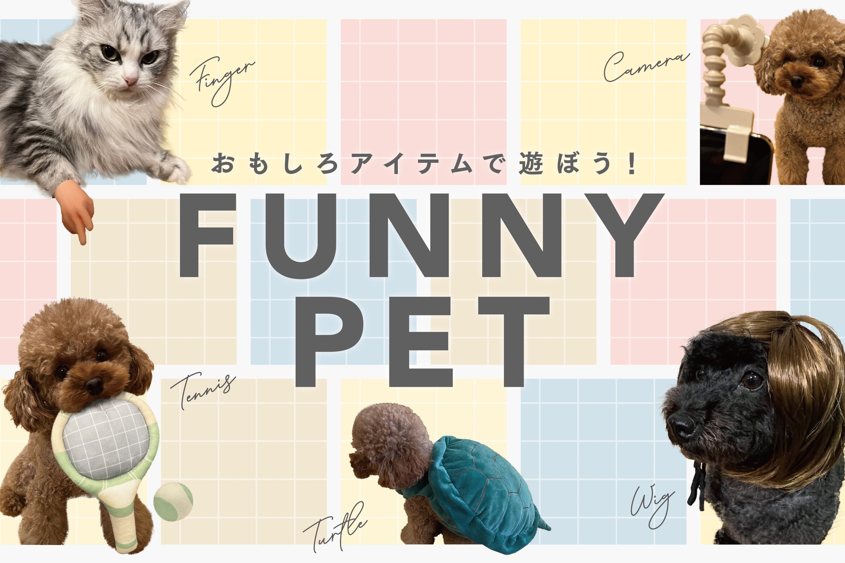 3COINS 【PET】思わずシェアしたくなる！おもしろアイテムが登場！