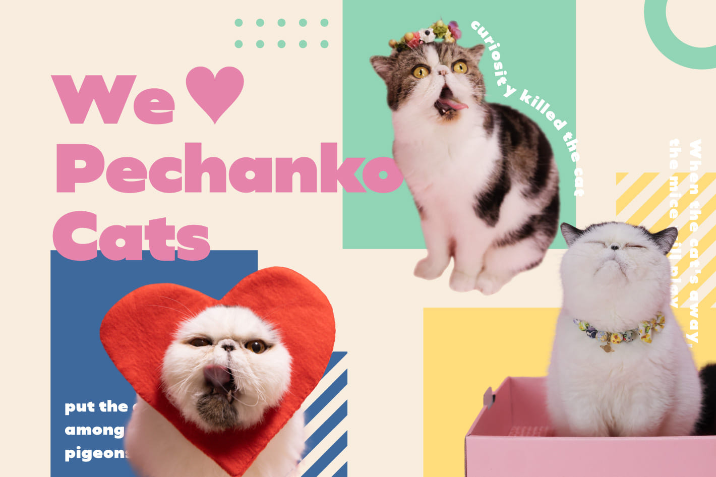 BIRTHDAY BAR We ♡ Pechanko Cats