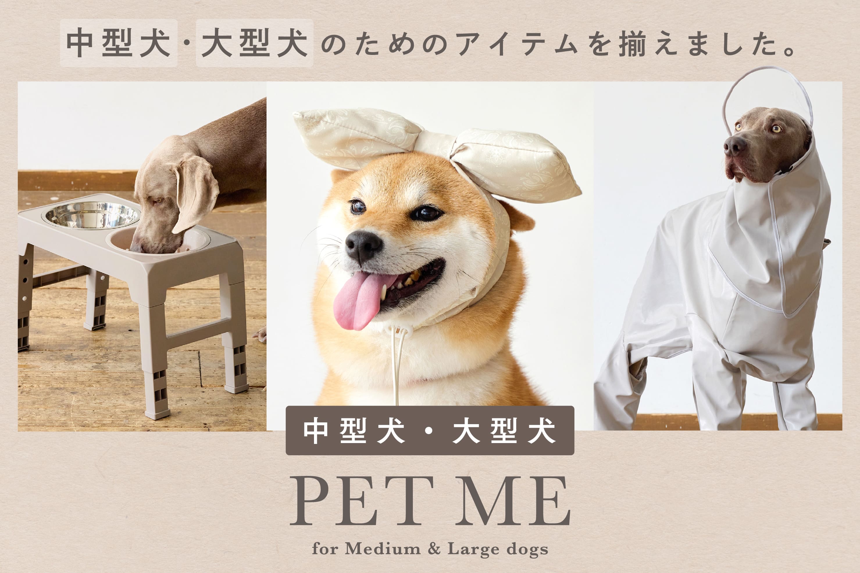 3COINS 中型犬・大型犬サイズのアイテムが新登場！