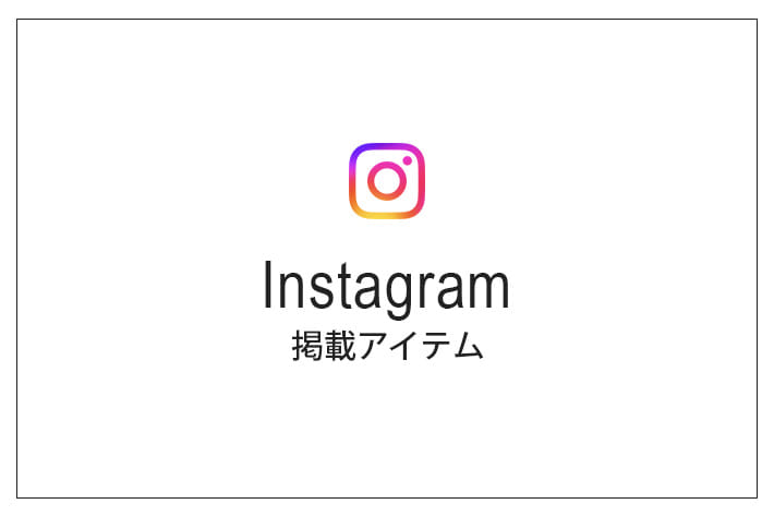 ear PAPILLONNER インスタグラム掲載アイテム