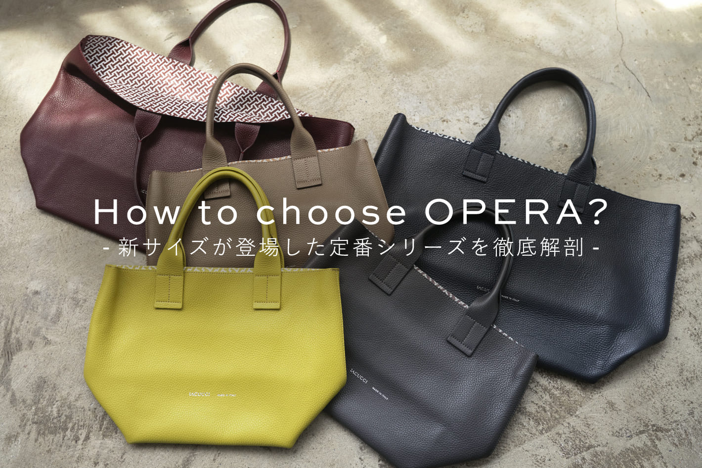 IACUCCI How to choose OPERA？-新サイズが登場した定番シリーズを徹底解剖-