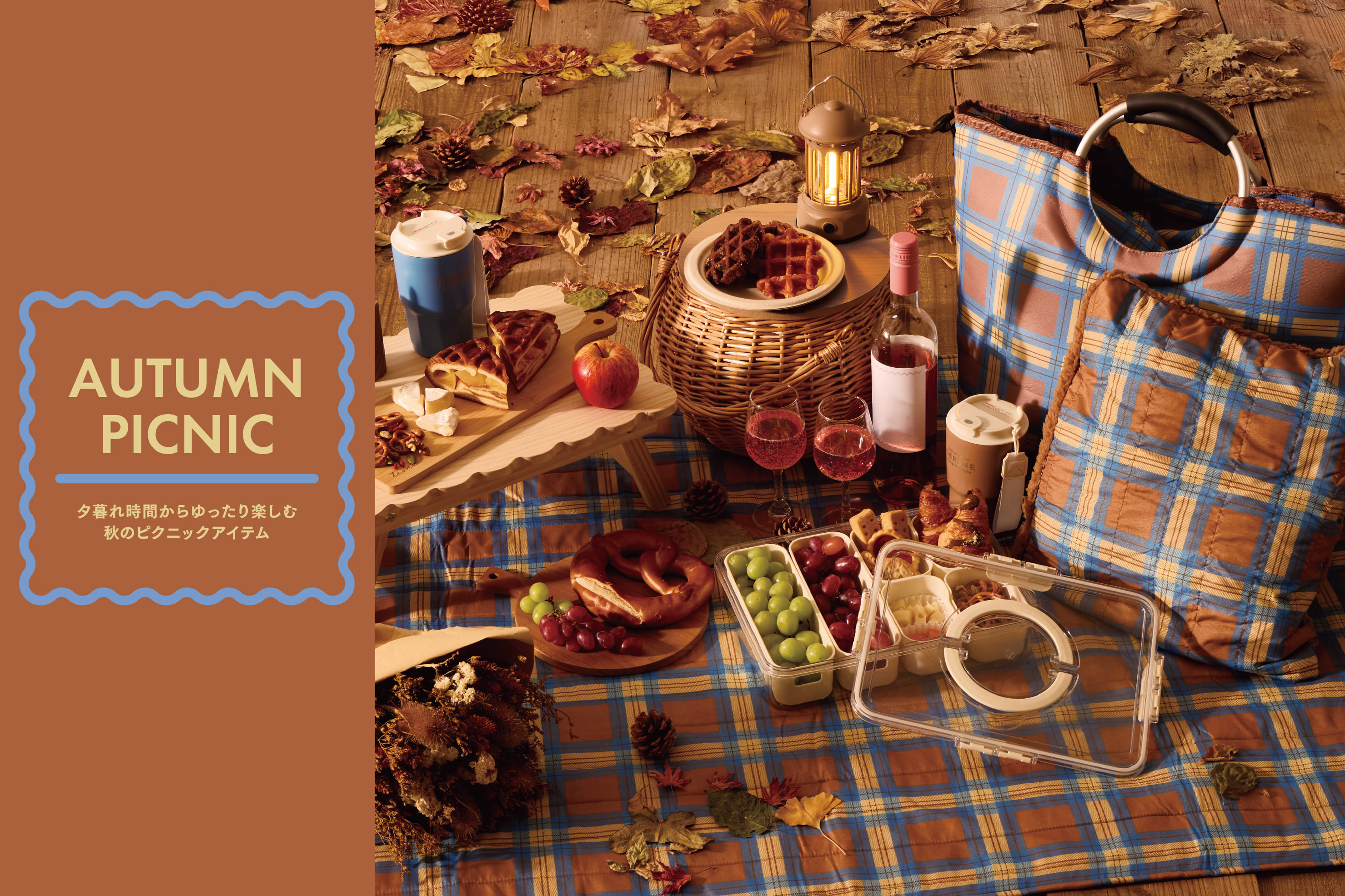 3COINS AUTUMN PICNIC