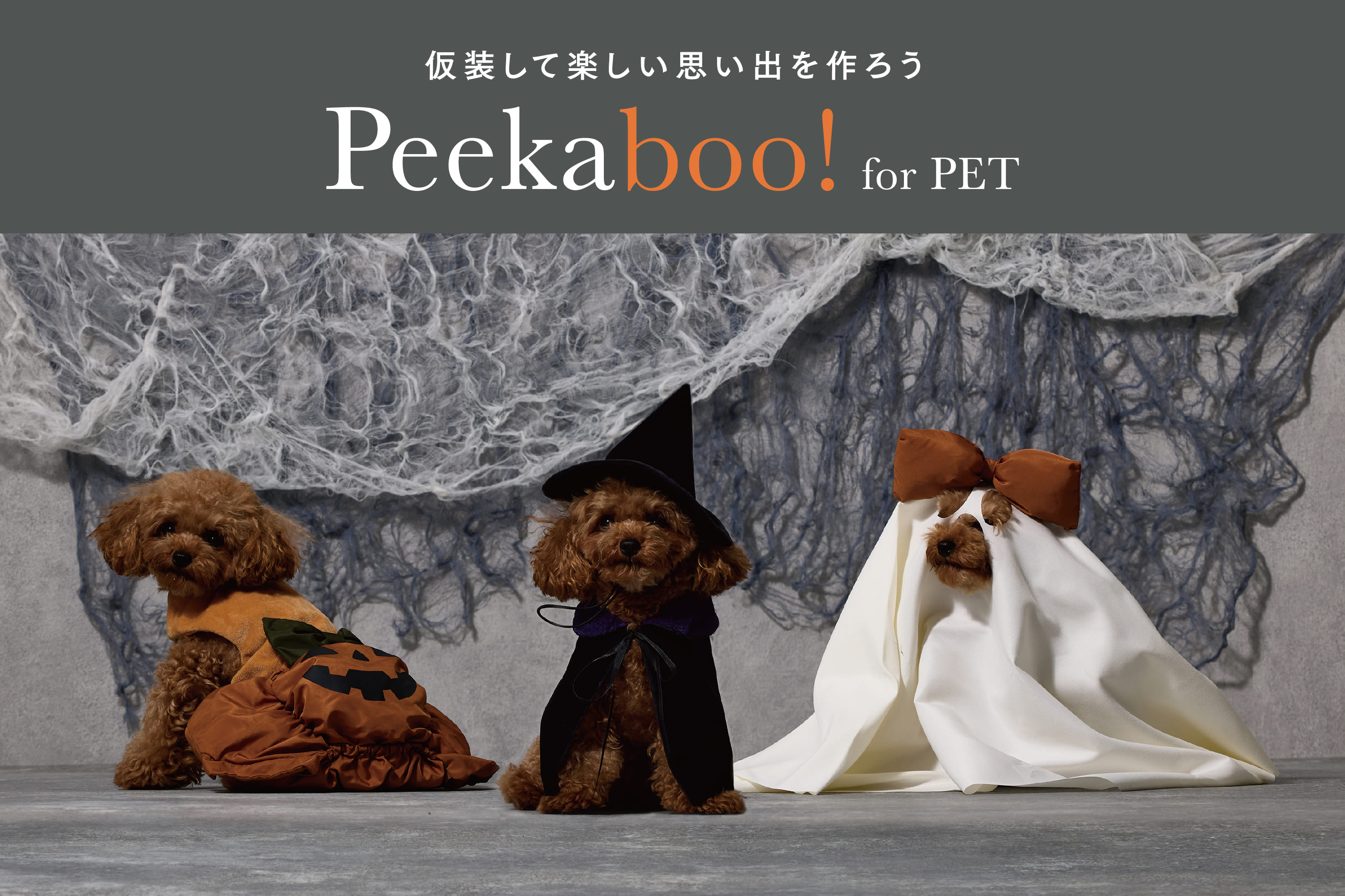 3COINS かわいさ満点！ペットのハロウィン仮装グッズ