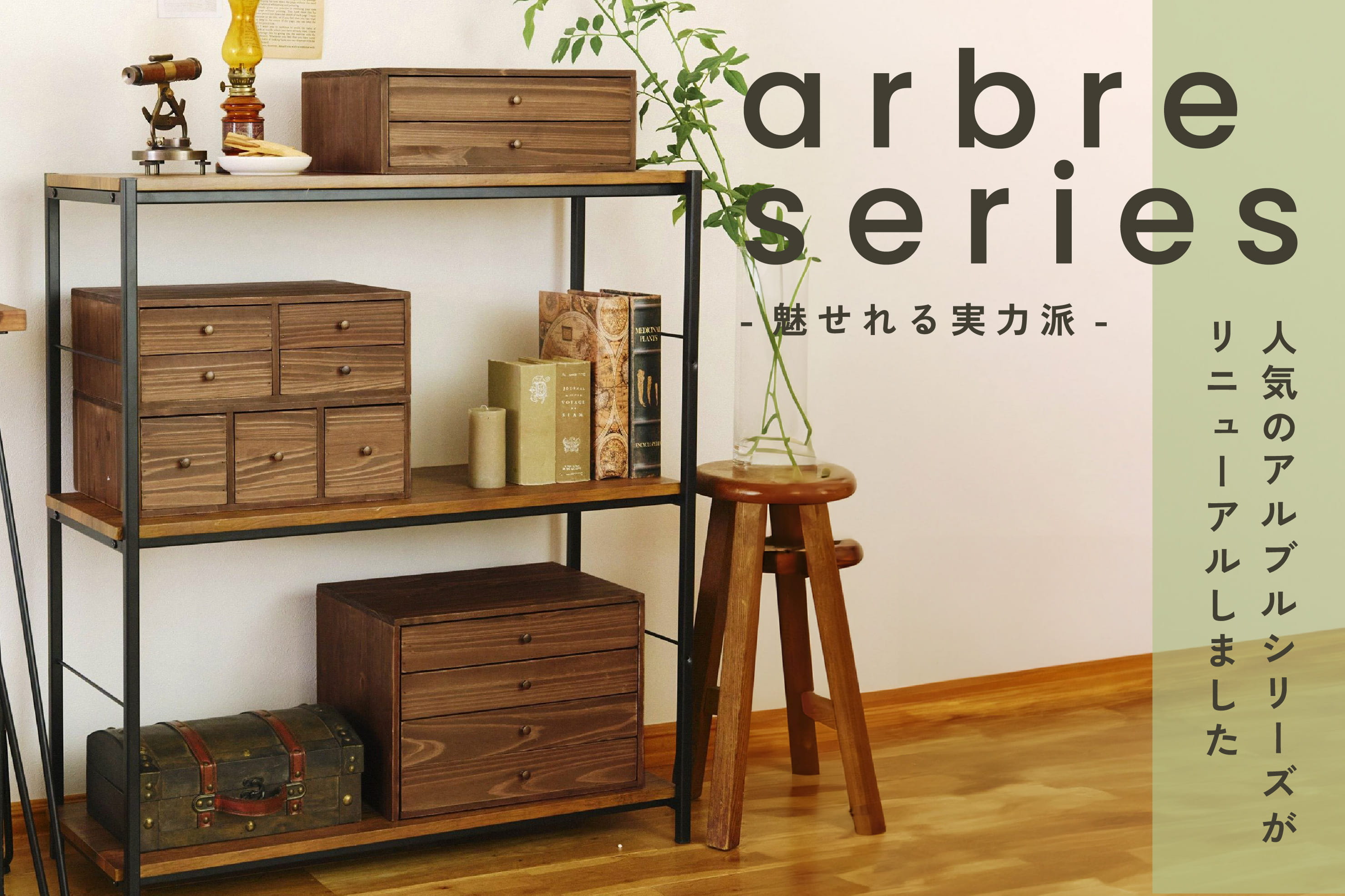 salut! 魅せれる実力派-アルブルシリーズ-