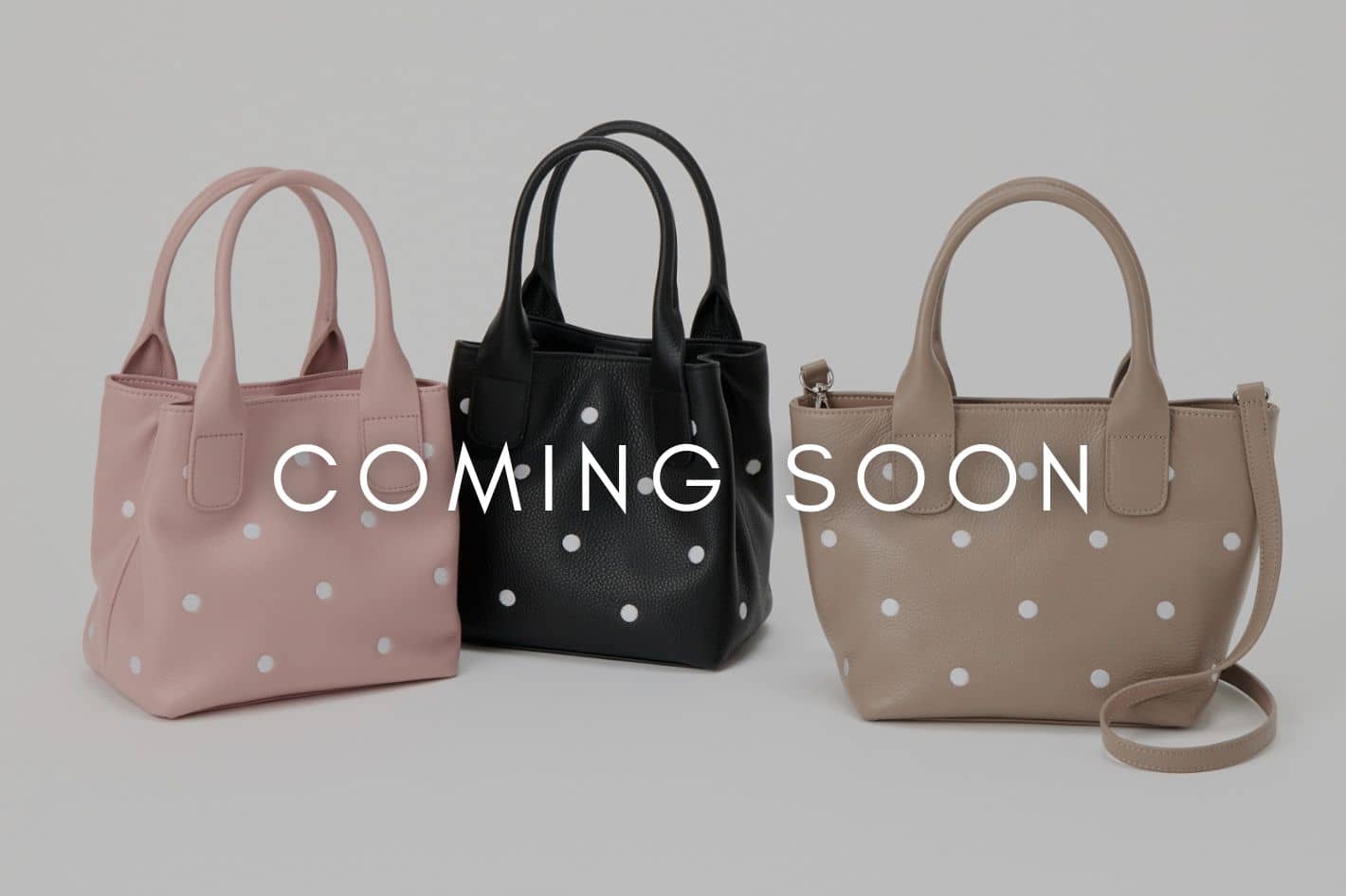 BEARDSLEY 【ドット刺繡バッグシリーズ】