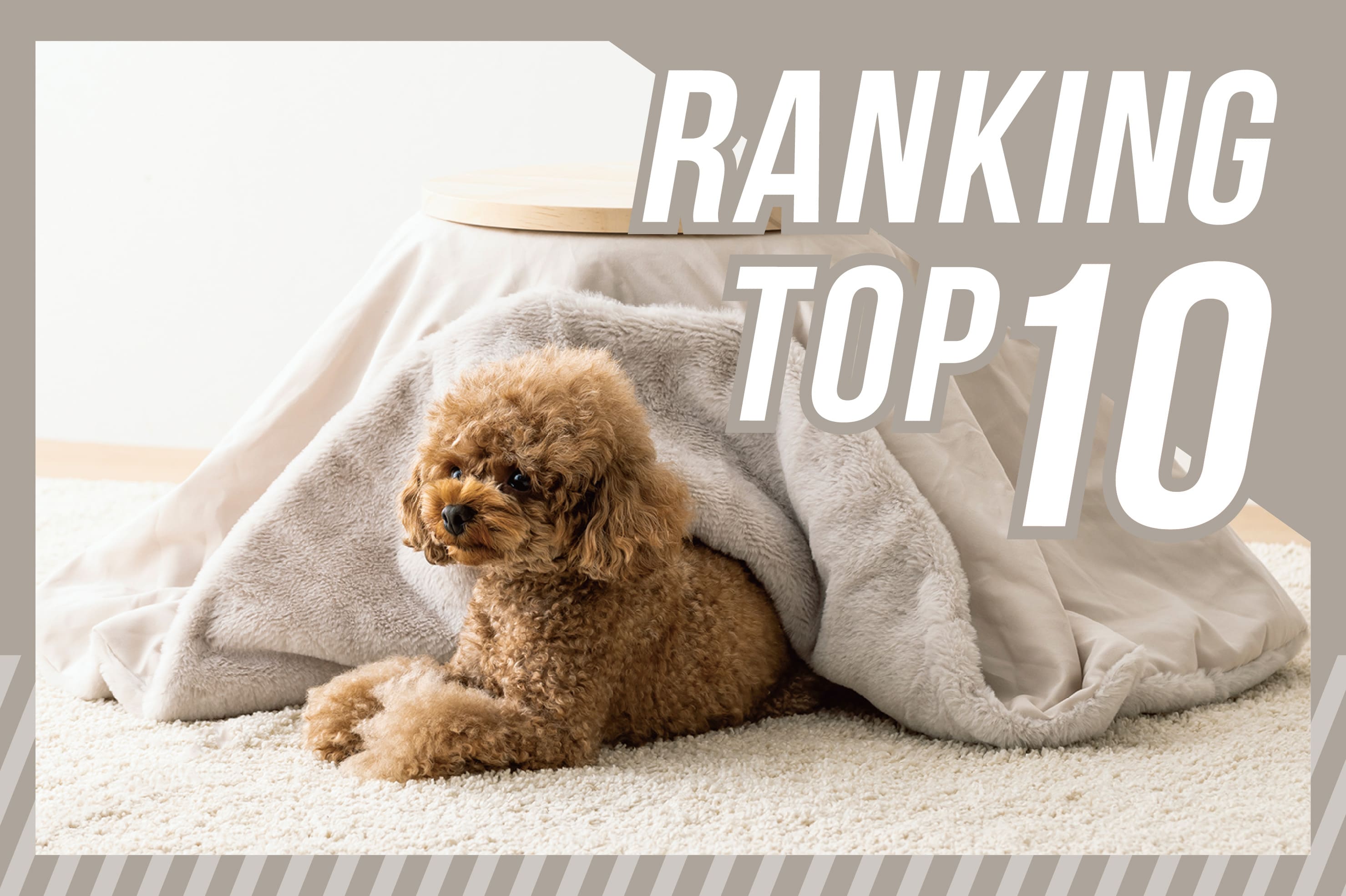 3COINS 【330円(税込)/全商品別】週間ランキングTOP10