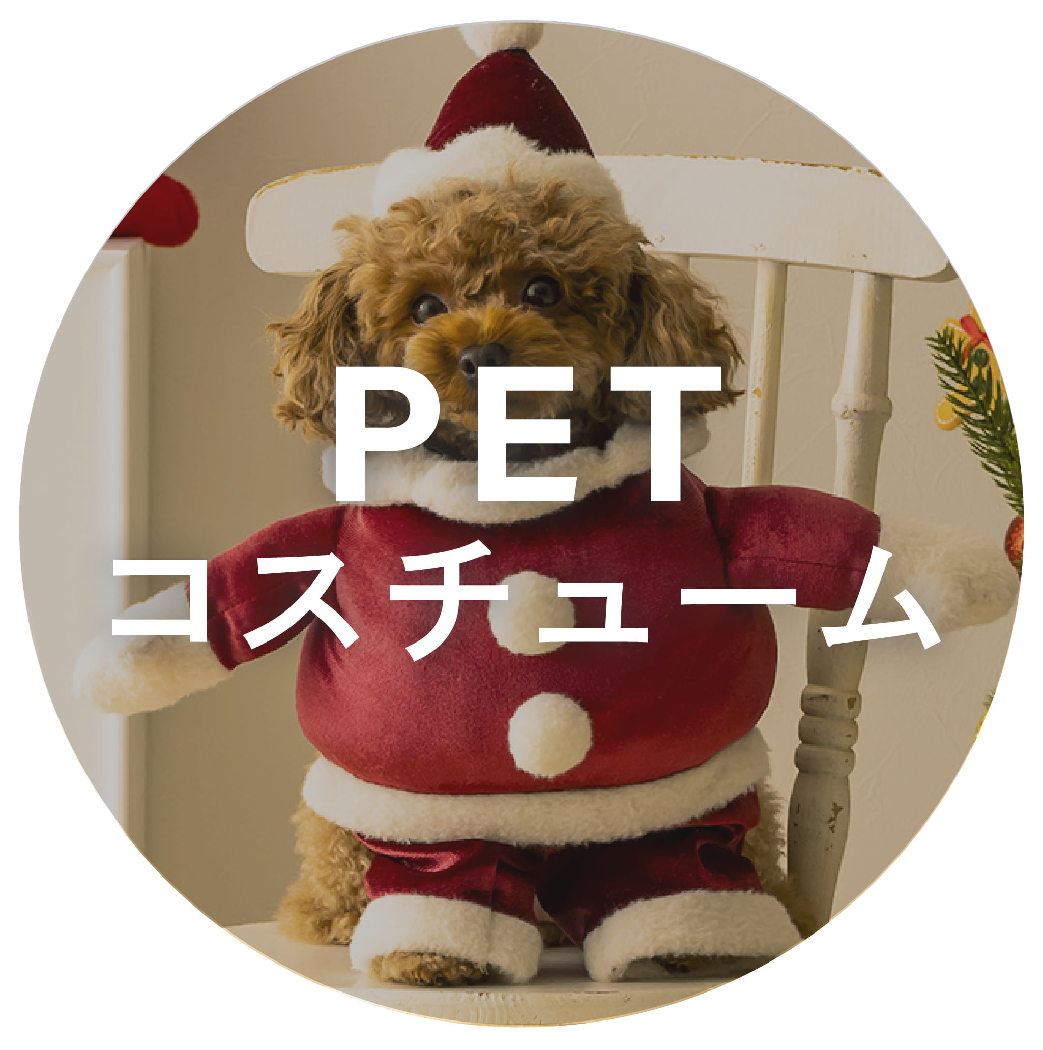 カナル型イヤホン