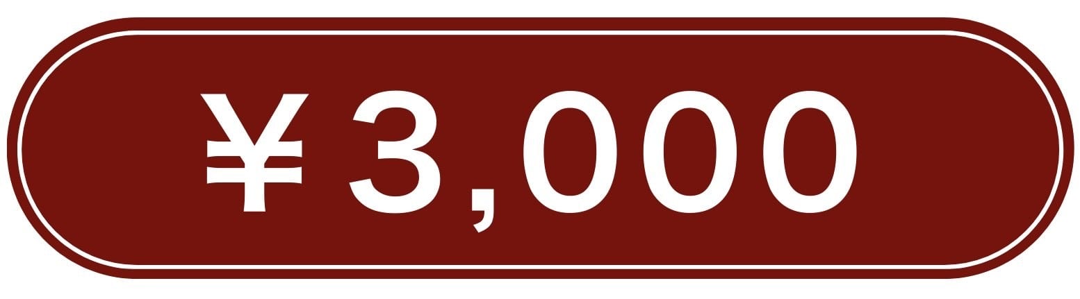 3000円から