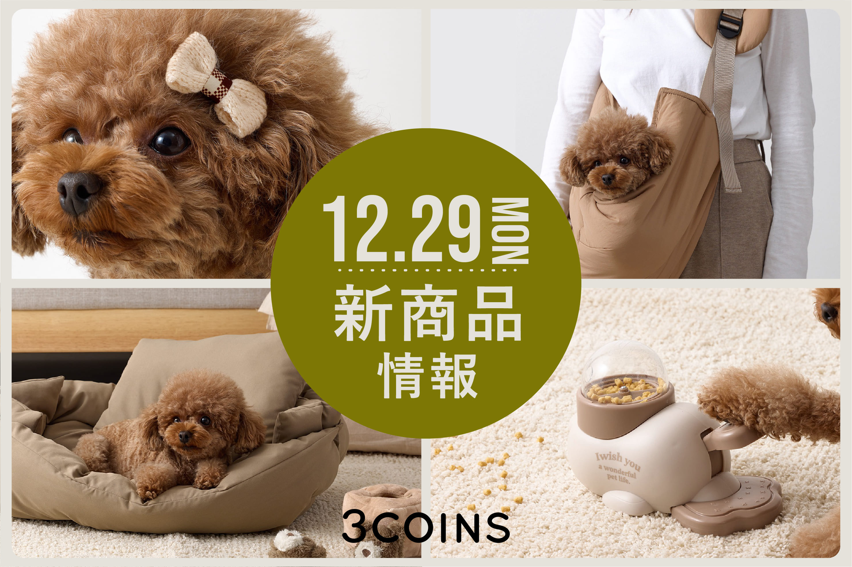 3COINS 12/29(月)の新商品はこちらからチェック！