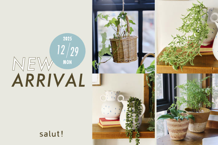 salut! 12/29(月)の新商品はこちらからチェック！