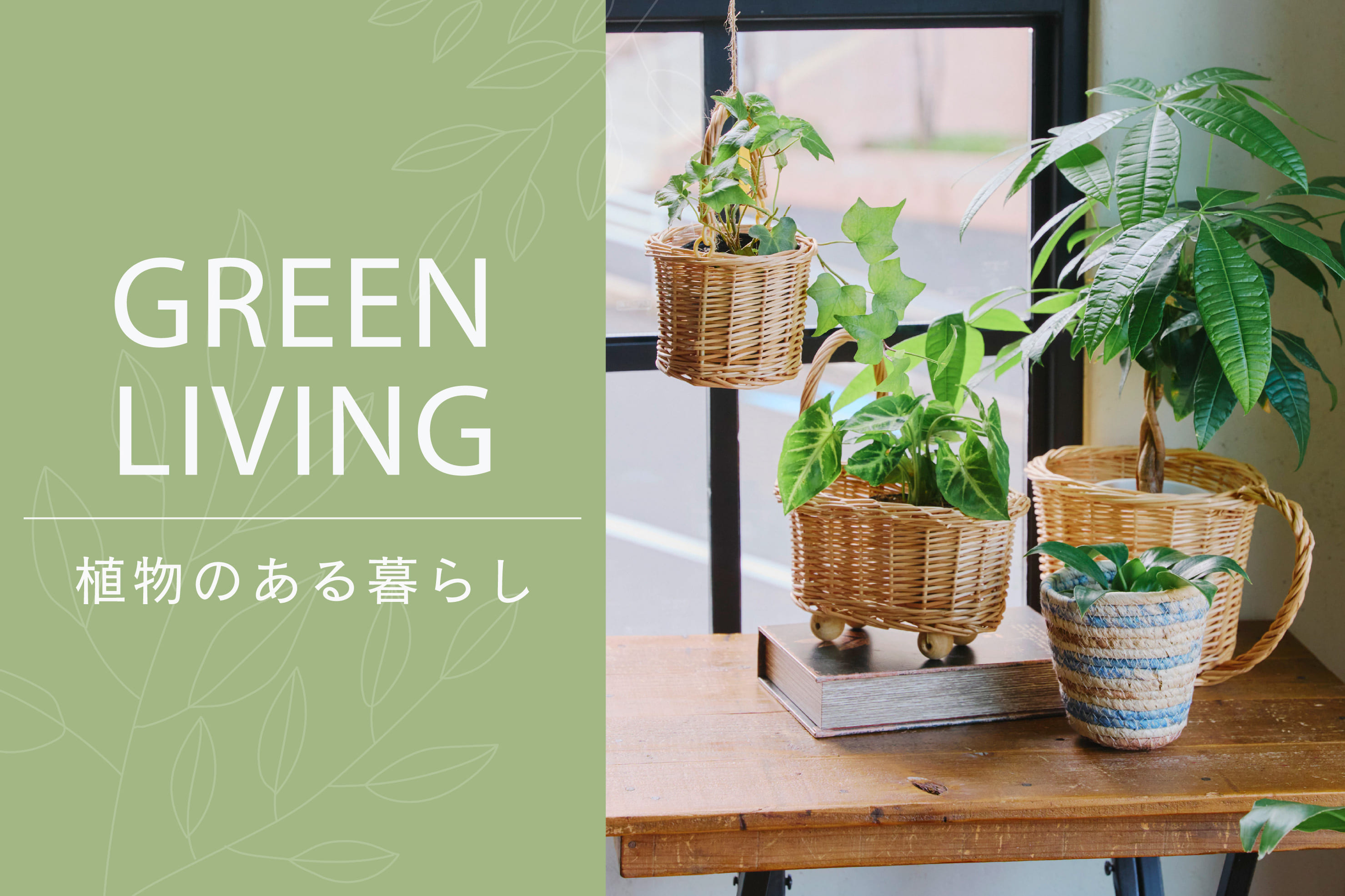 salut! 植物のある暮らし