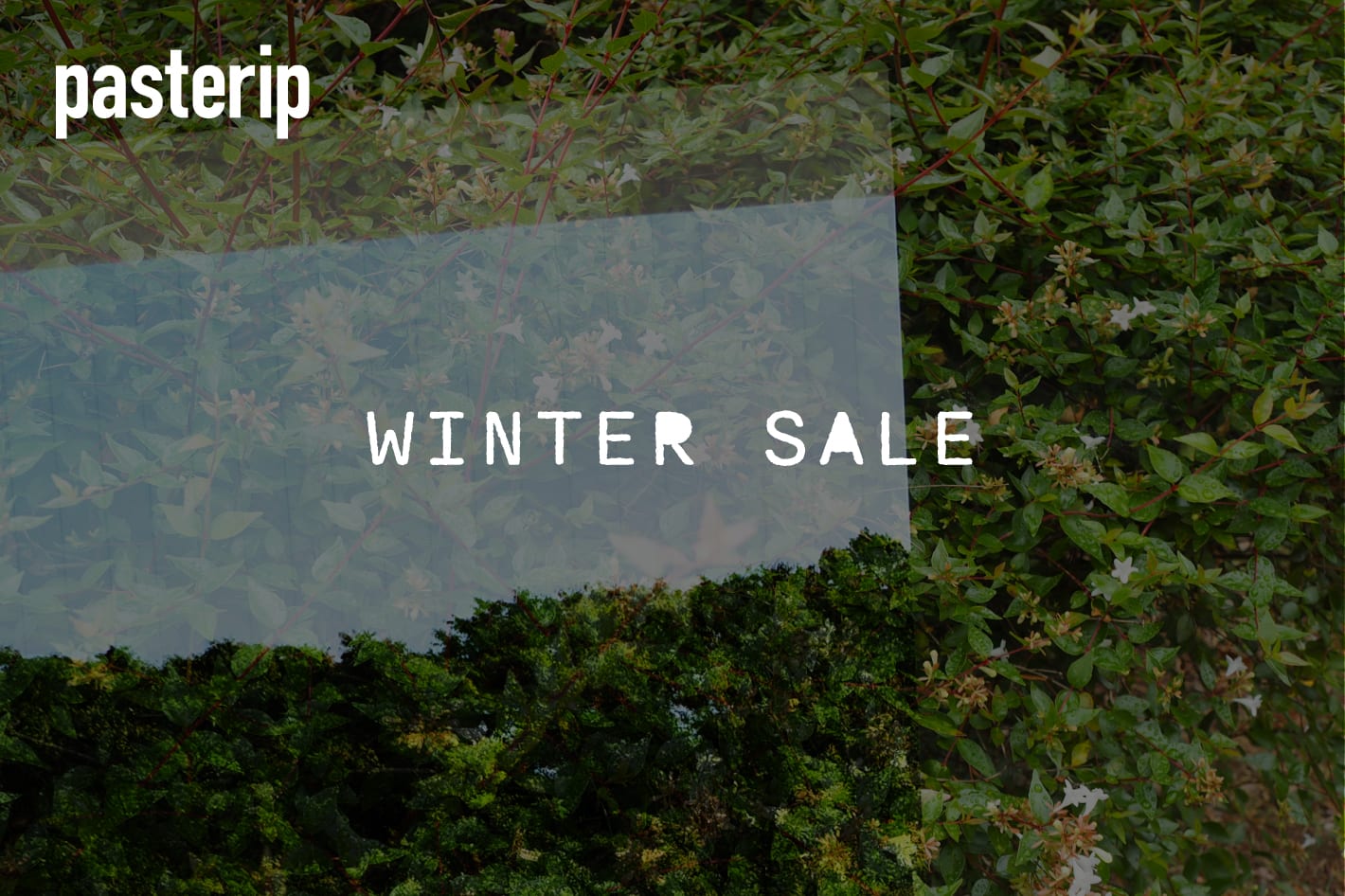Pasterip WINTER SALE 開催中！
