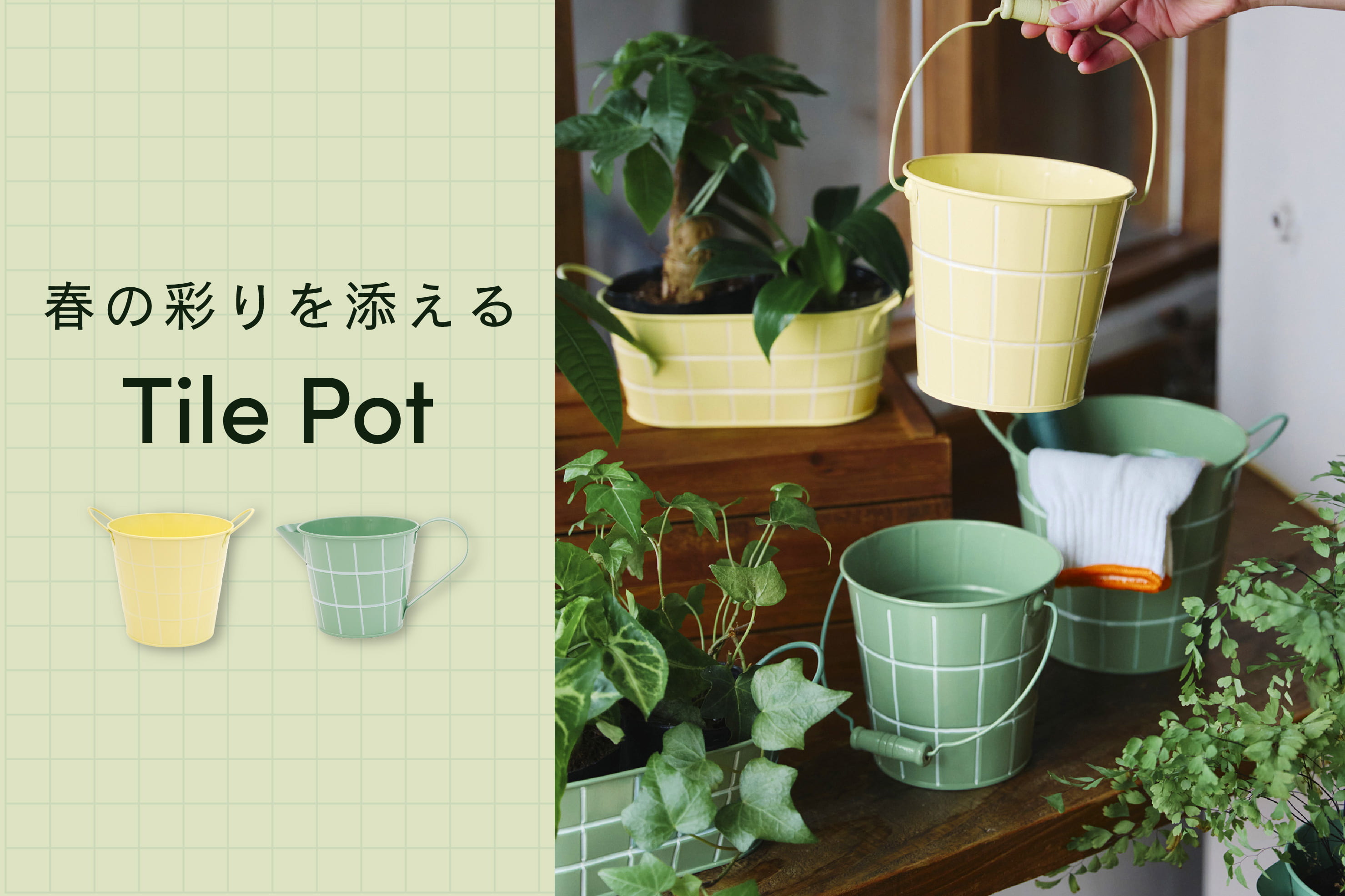 salut! 春の色どりを添えるタイルブリキポット