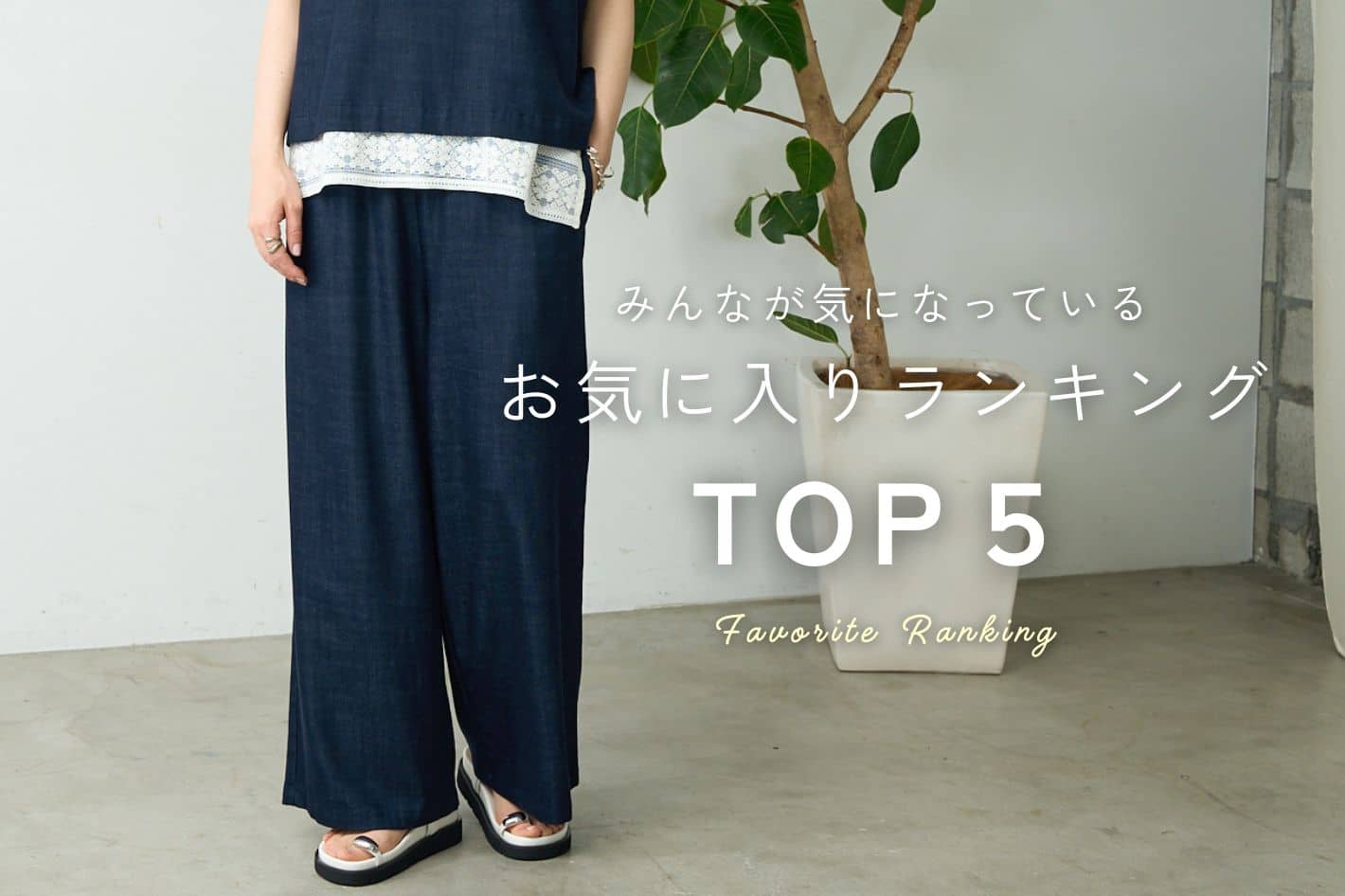 BEARDSLEY 【みんなが気になっている】お気に入りランキング TOP5