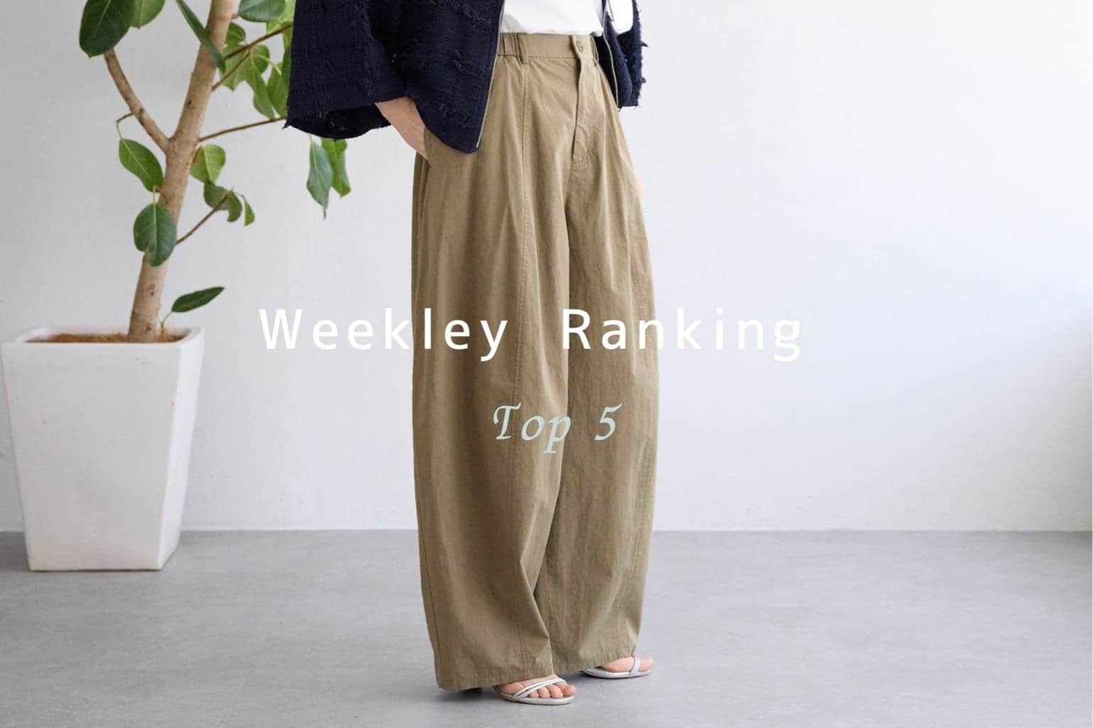 BEARDSLEY 人気ランキング"TOP5"