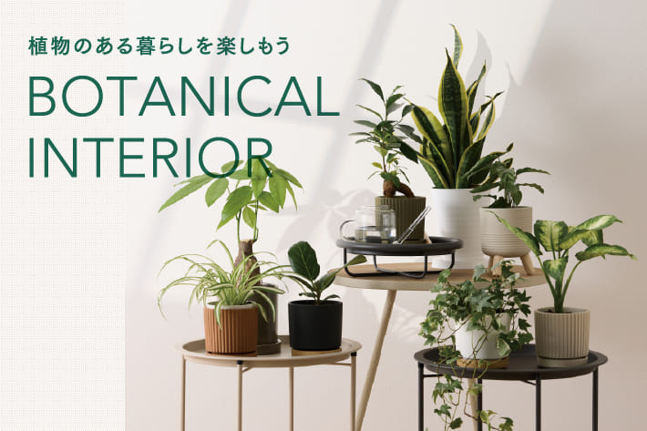 3COINS BOTANICAL INTERIOR