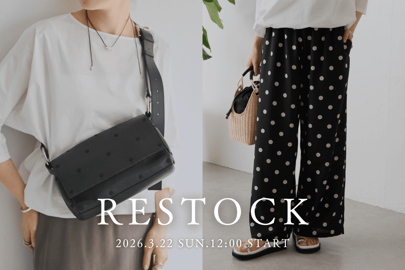 BEARDSLEY 【RESTOCK】完売アイテムの追加予約開始