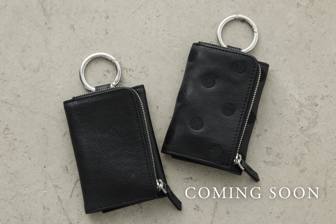 BEARDSLEY 【COMIG SOON】フラグメントケース