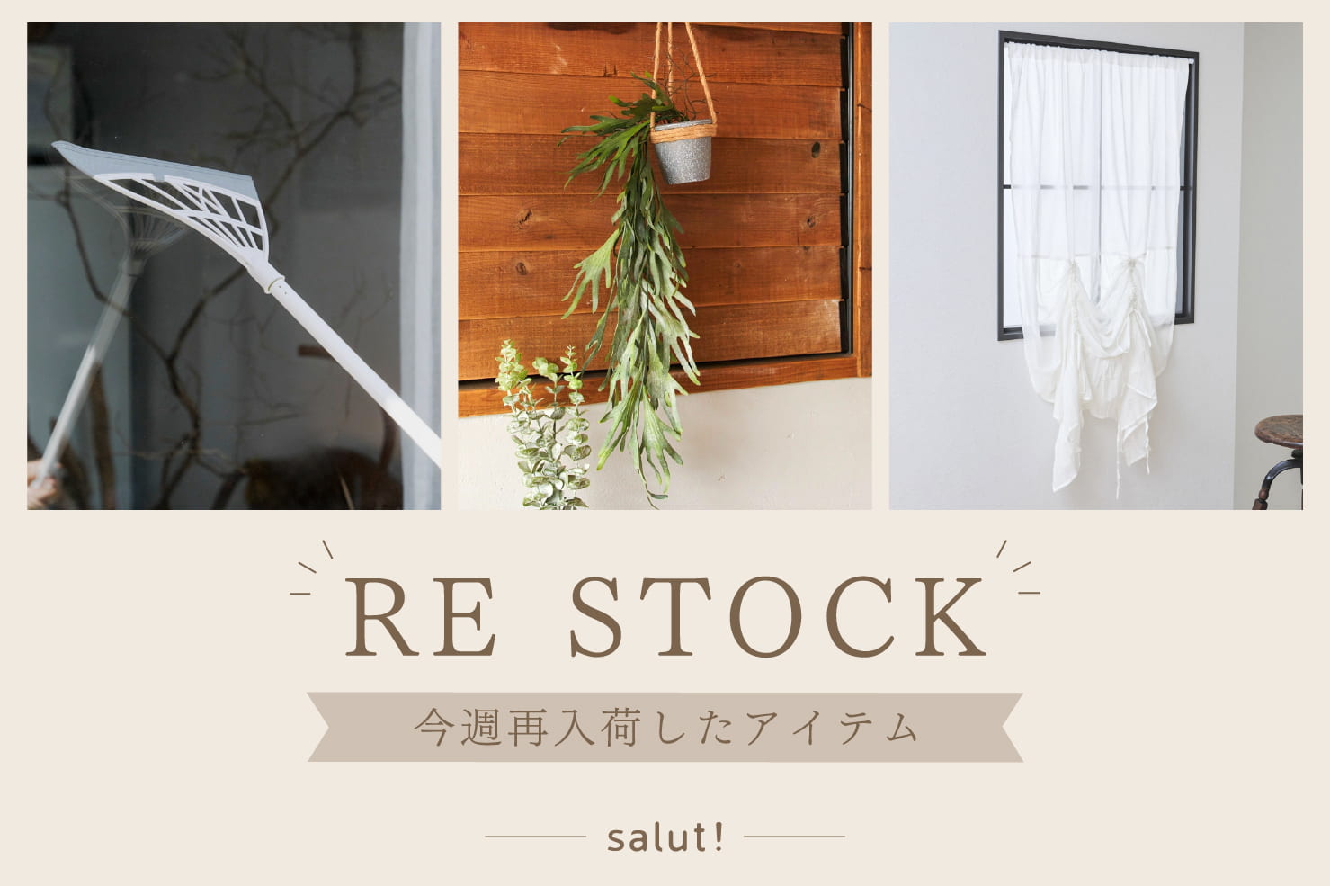 salut! 今週再入荷したアイテムはこちら！