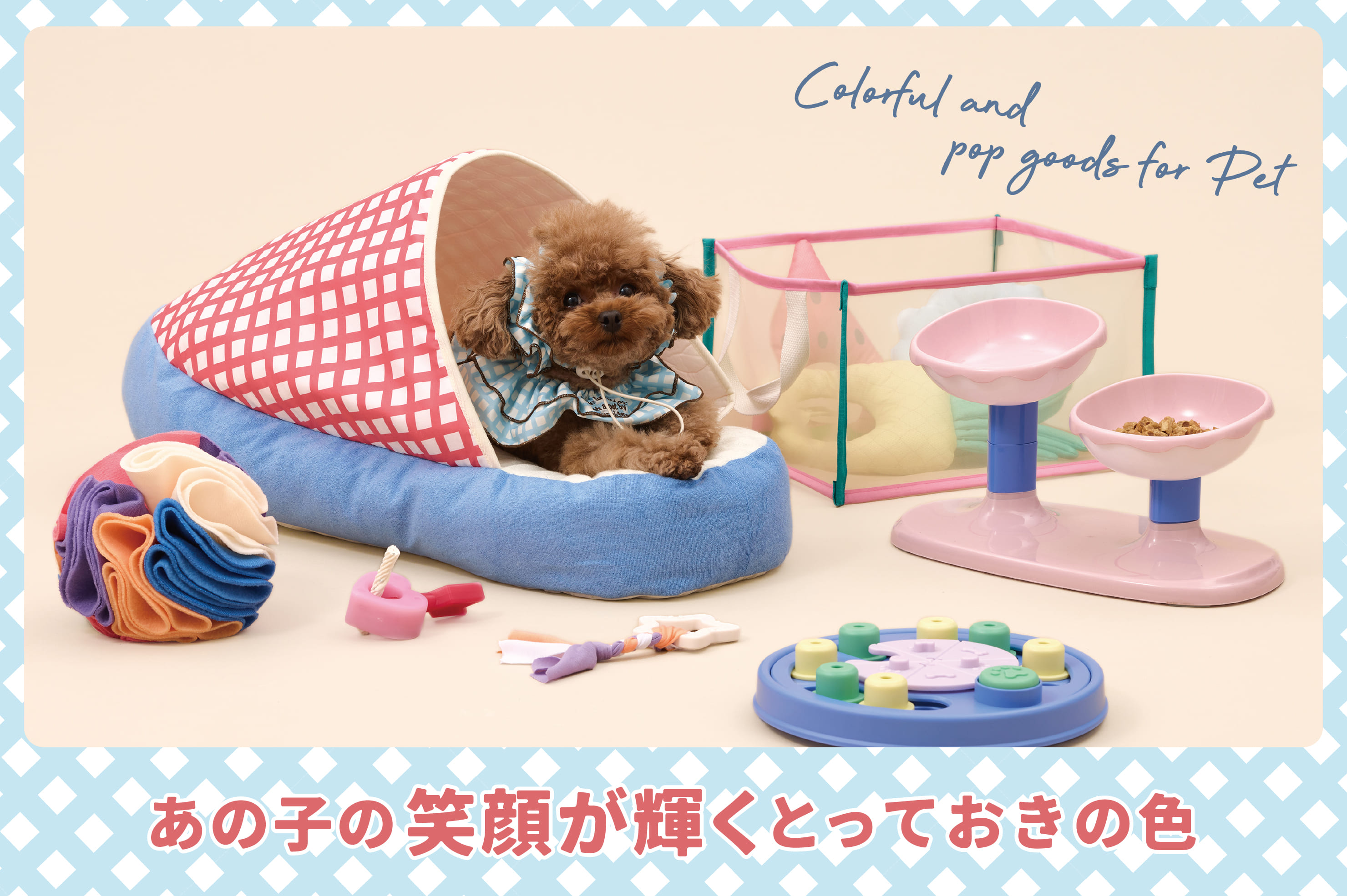 3COINS 【PET】カラフル＆ポップなペットグッズ