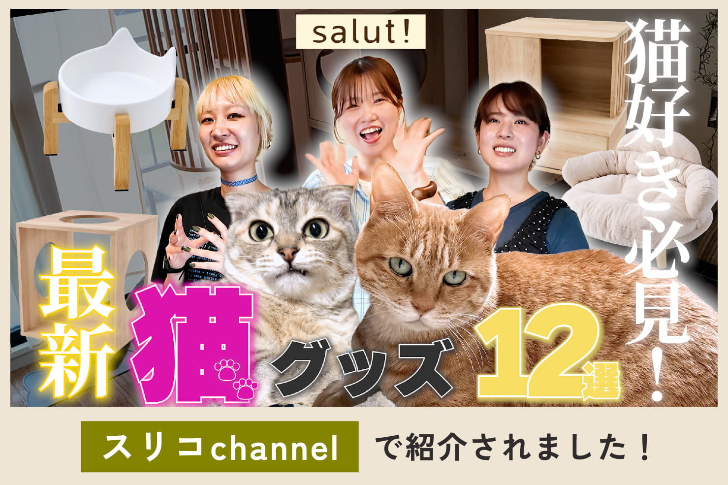 salut! 【猫と暮らす企画】スリコchannelで紹介されました！