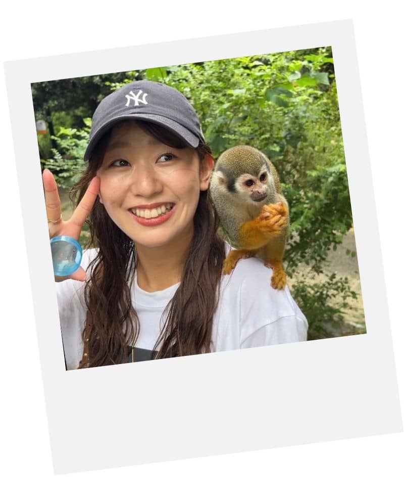 ハマっていること