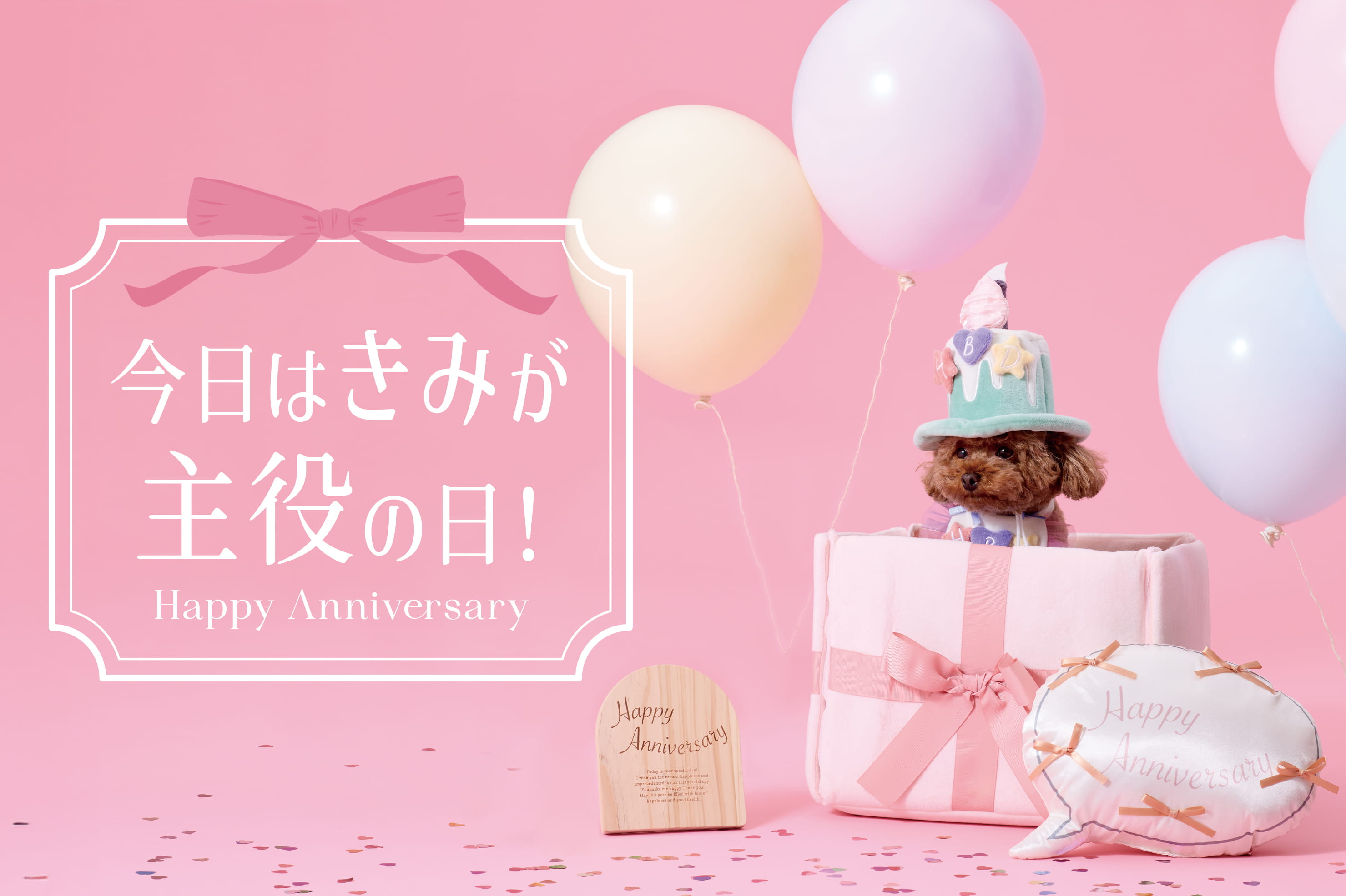 3COINS 【PET】Happy Anniversary