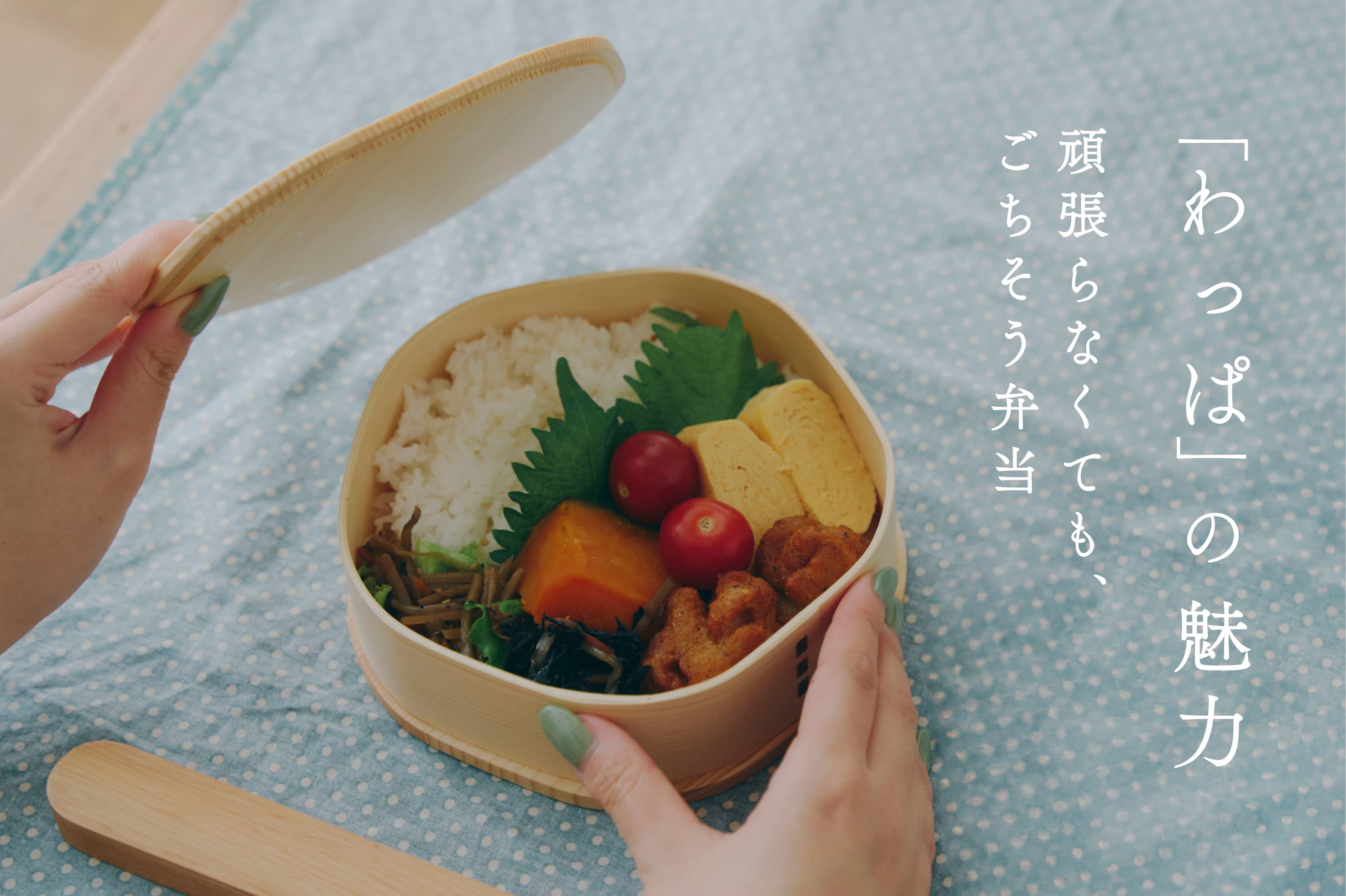 salut! わっぱの魅力│いつものランチをごちそうに
