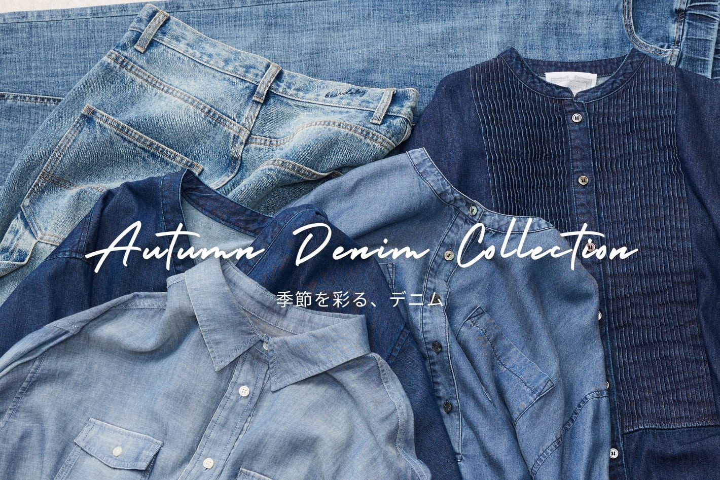 BEARDSLEY 【autumn denim collection】