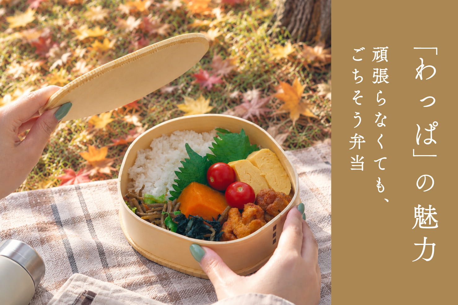 salut! 秋のおでかけに！『わっぱ』のお弁当