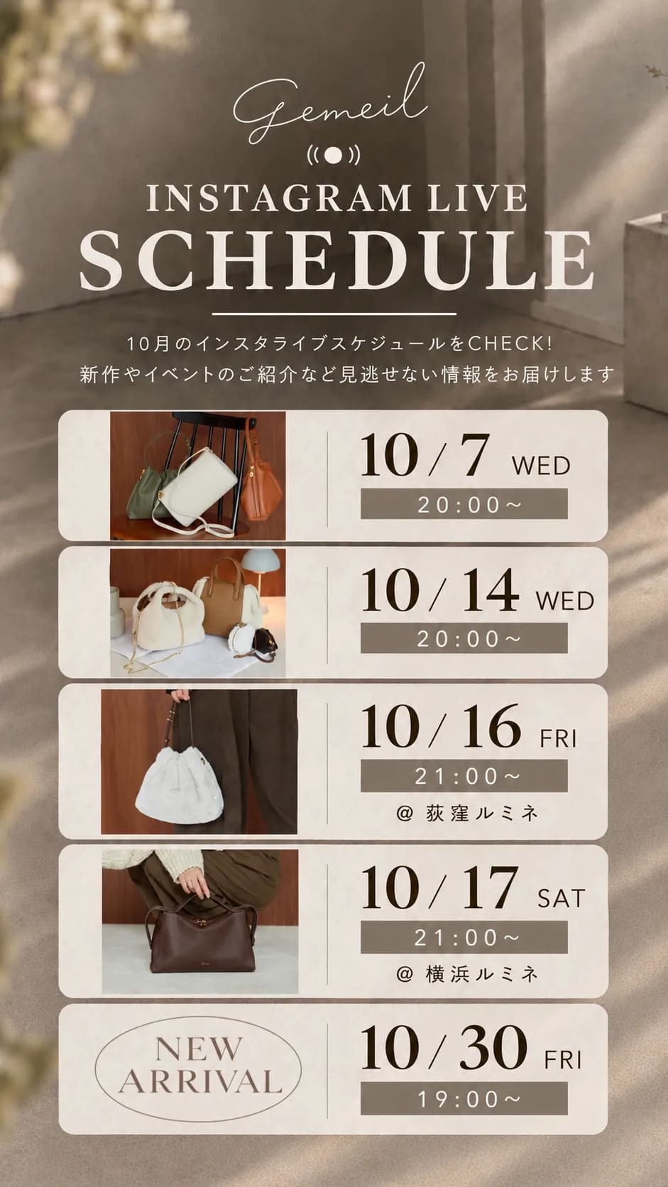 ライブスケジュール