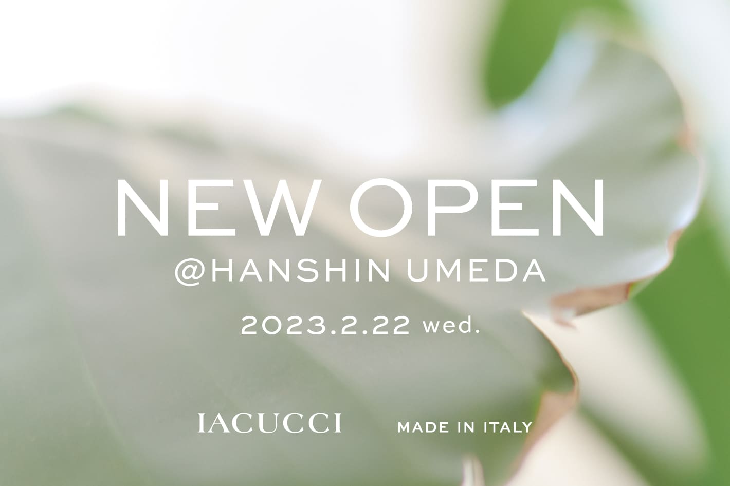 IACUCCI ＜NEW OPEN＞阪神梅田本店 オープンのお知らせ
