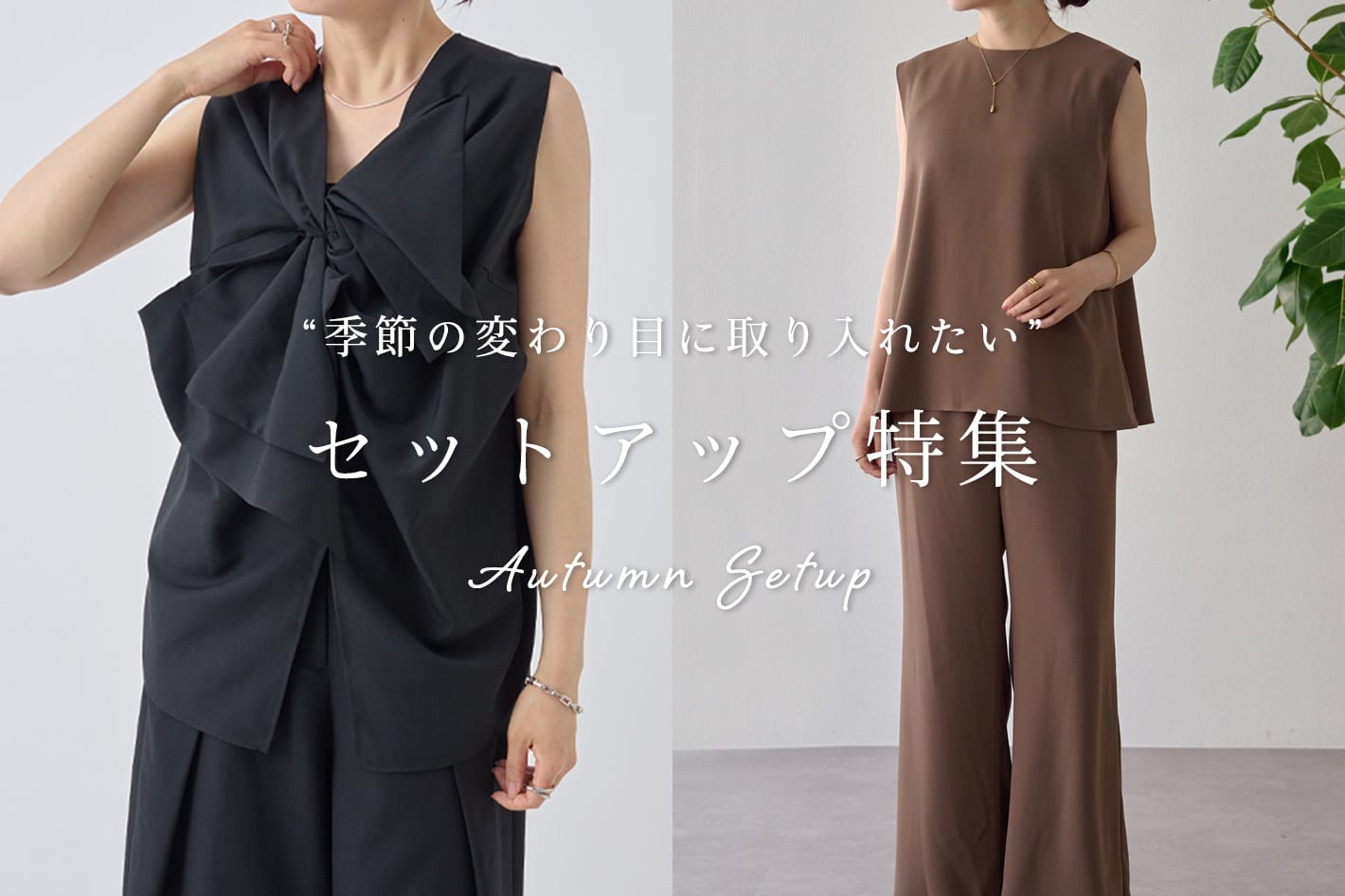 【セットアップ特集】
