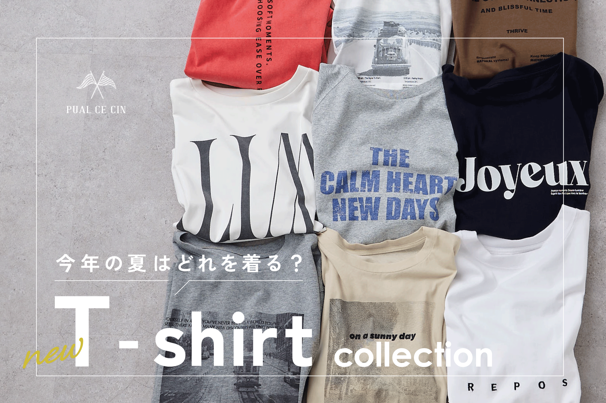 《今年の夏はどれを着る？》new T-shirt collection !