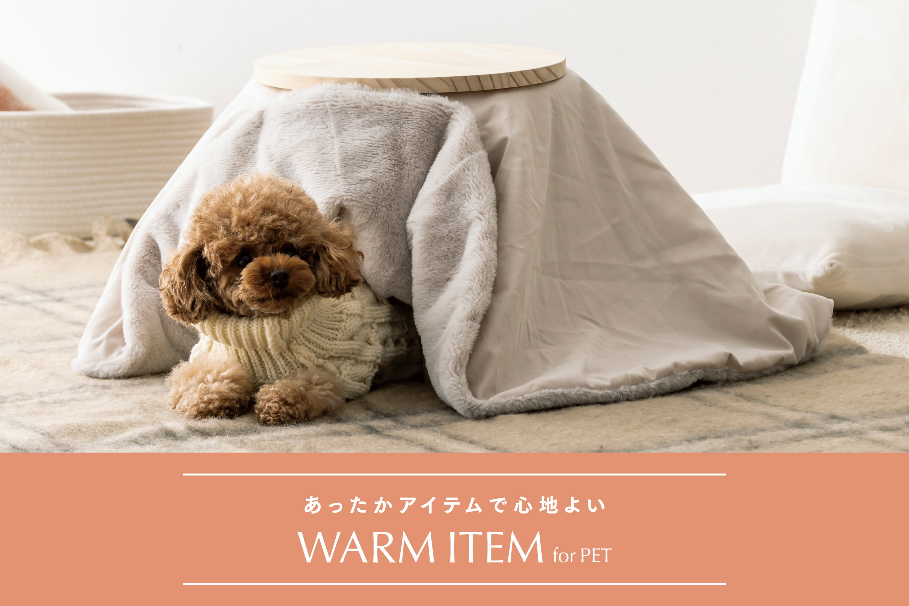 ペットとほっこり♪冬のあったかアイテム