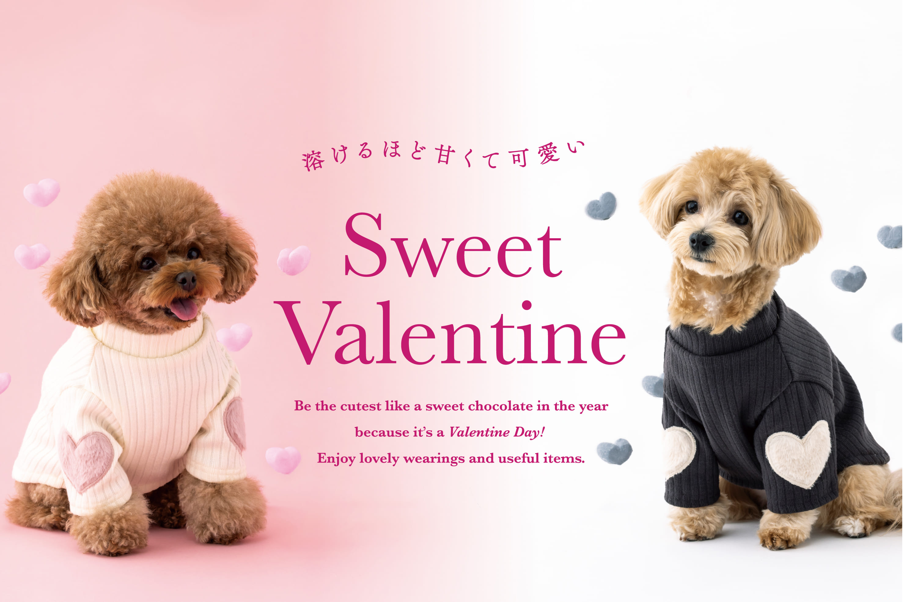 【PET】Sweet Valentine