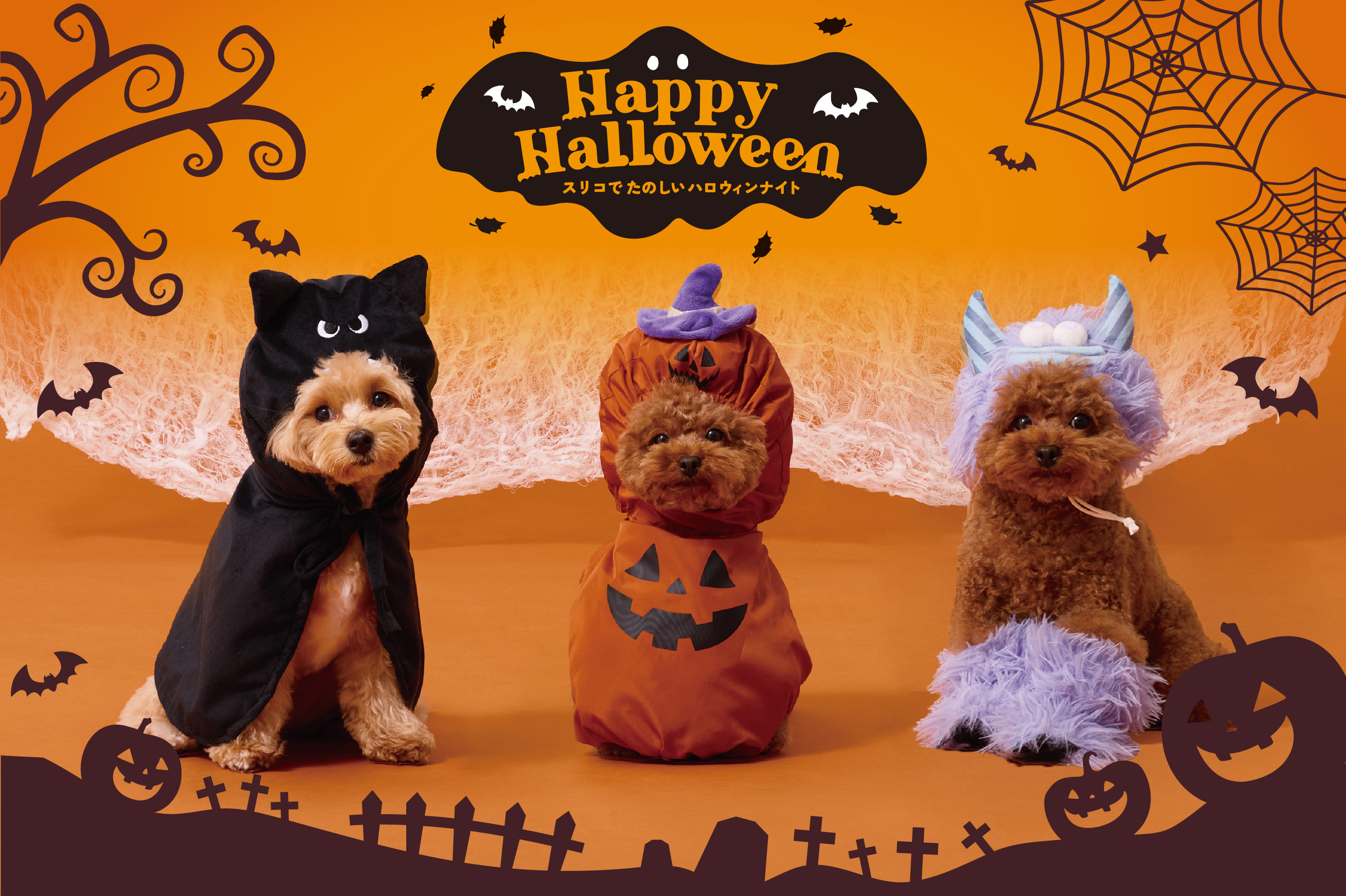 Halloween ◆ ペットも一緒にハロウィン仮装