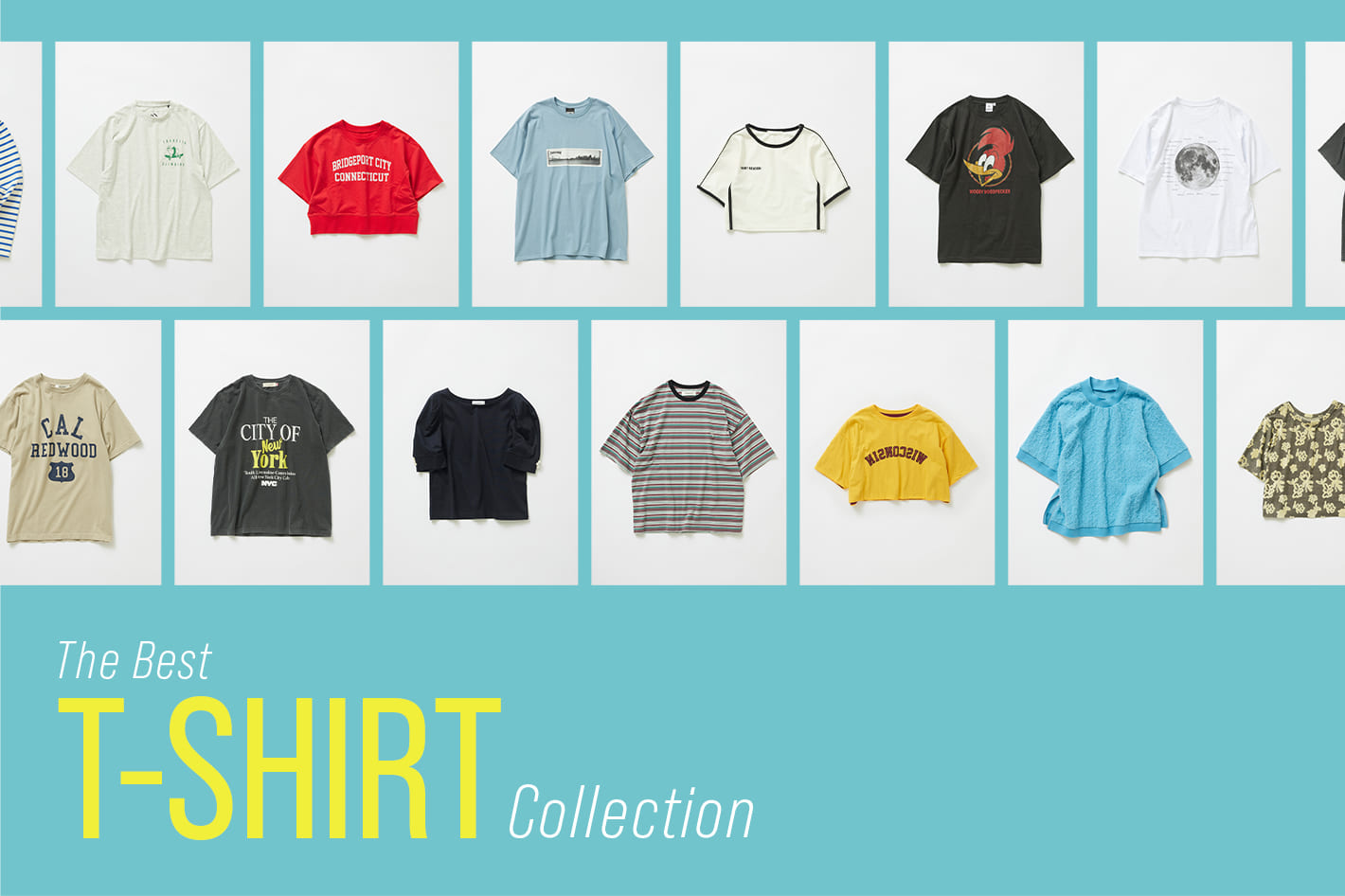 The Best T-SHIRTS Collection