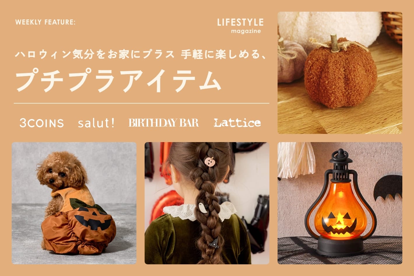 LIFESTYLE magazine 「プチプラアイテム」
