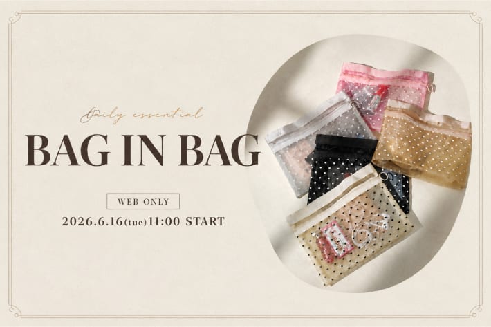 【WEB限定】ハートメッシュバッグインバッグの横型再入荷！