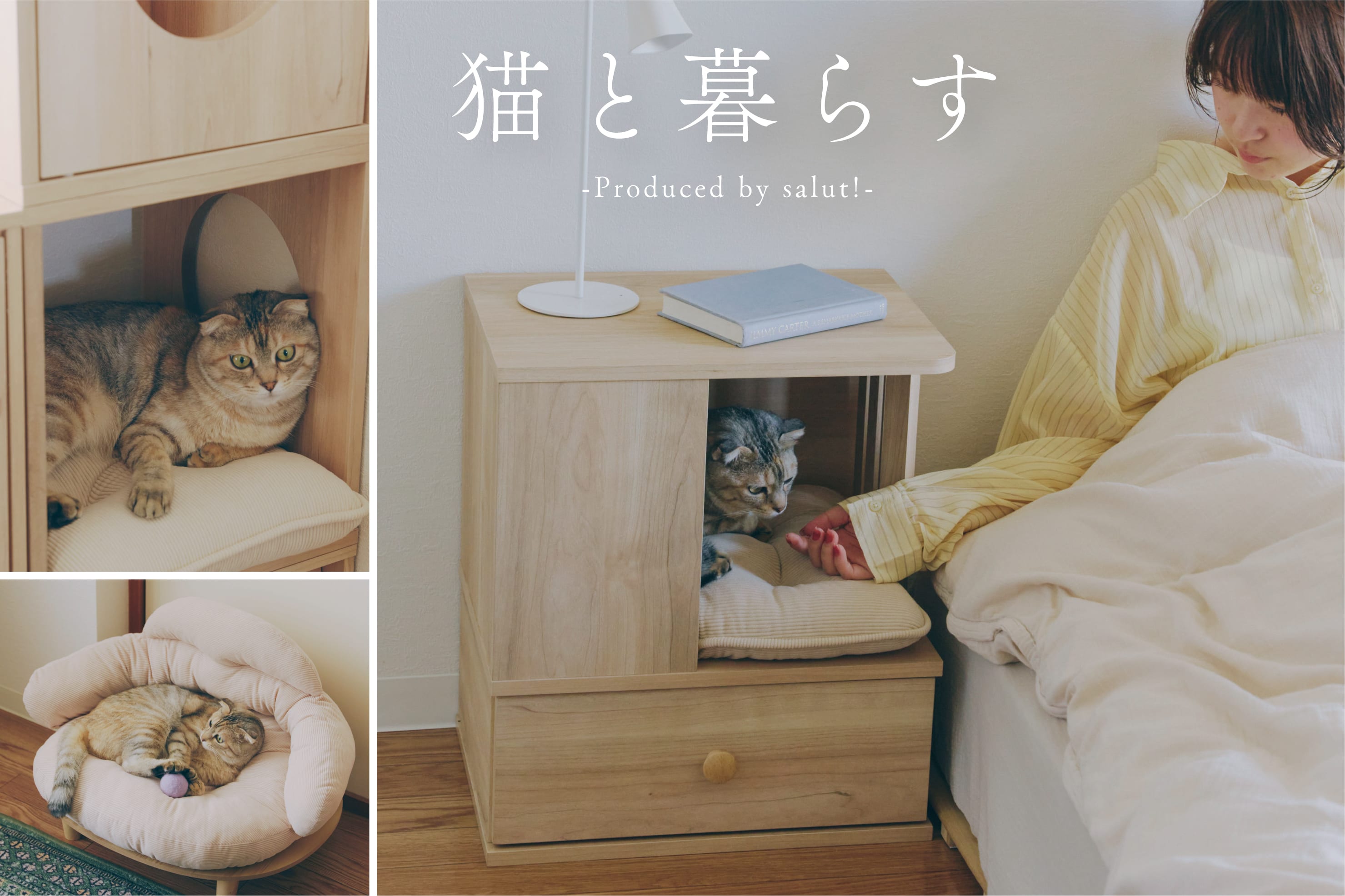 WEB限定│猫と暮らす