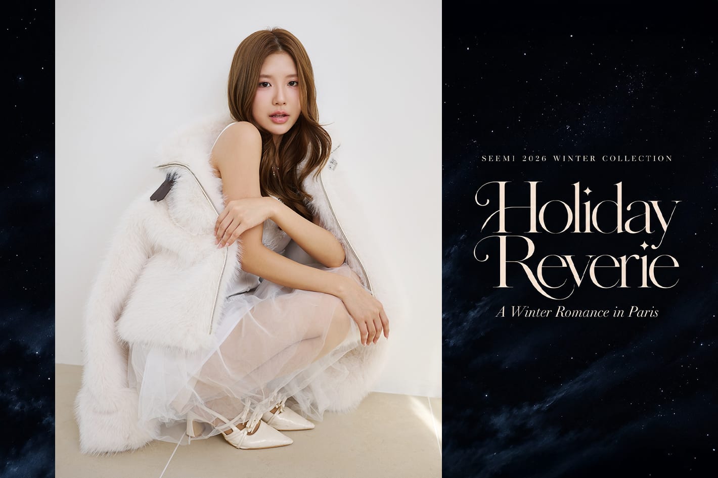 Holiday Reverie — A Winter Romance in Paris —