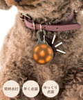 3COINS(スリーコインズ) 《夜のお散歩も安全！》お散歩ライト