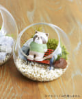 salut!(サリュ) 苔プリガラスドーム10cm
