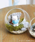 salut!(サリュ) 苔プリガラスドーム12cm