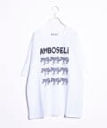 FREDY & GLOSTER(フレディ アンド グロスター) 【FREDYMAC】AMBOSELi オリジナルボディ プリントTシャツ